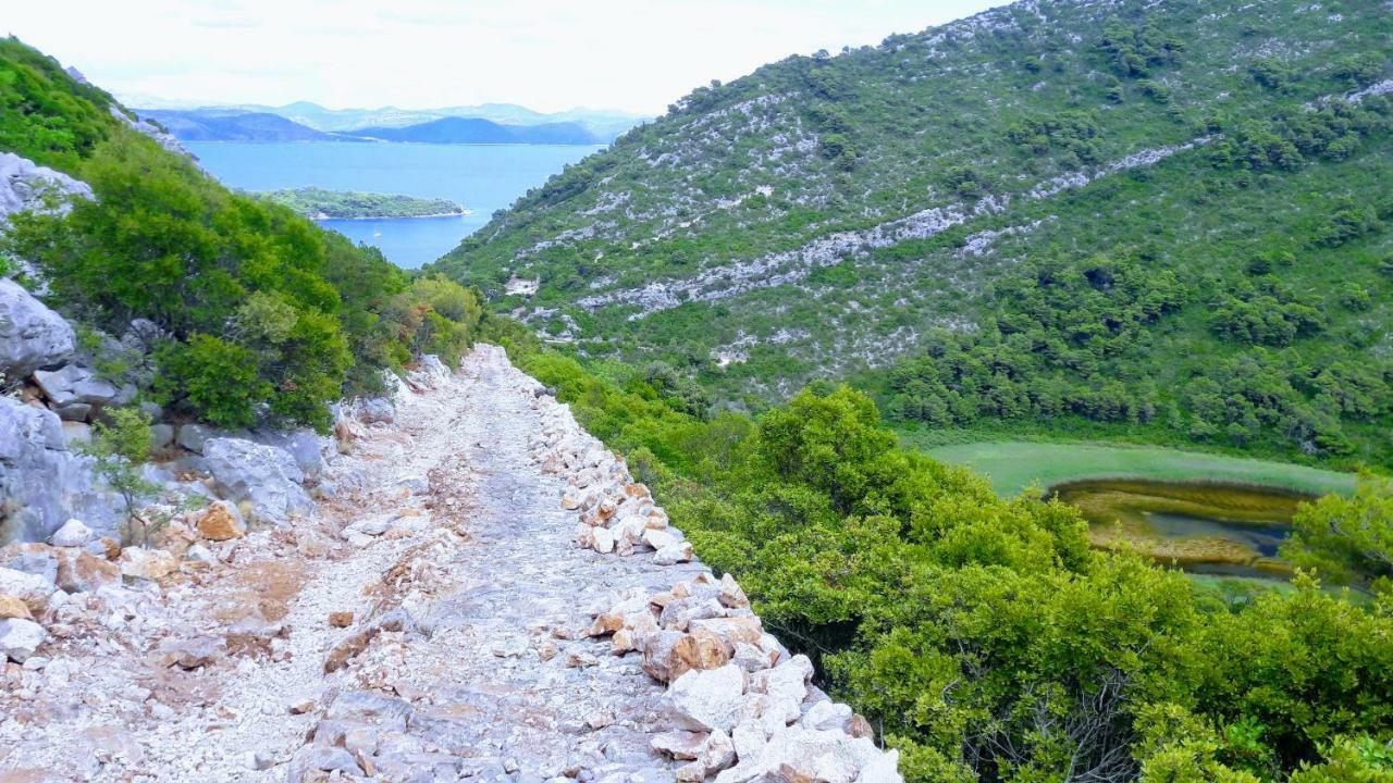 Апартаменты Authentic Ap For 2, Babino Polje,Mljet Экстерьер фото